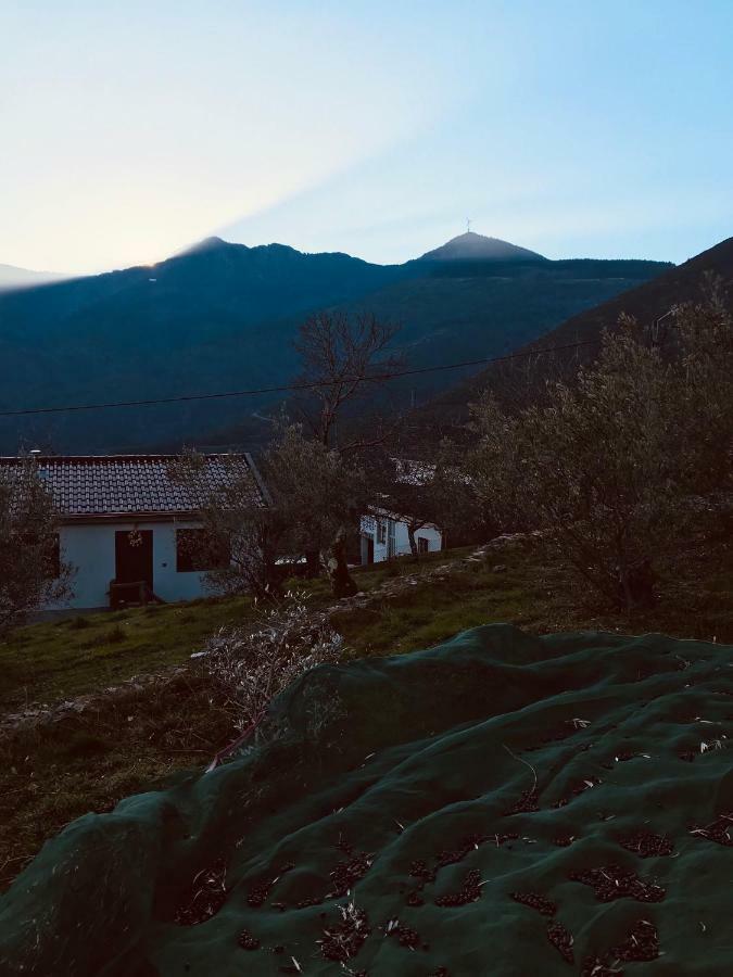 "Casa Do Avo Patricio" Mountain Experience Villa Parada  Ngoại thất bức ảnh